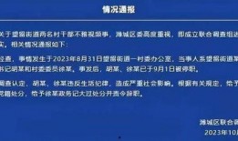 潍坊妇女主任最新爆料视频,揭秘背后惊人真相
